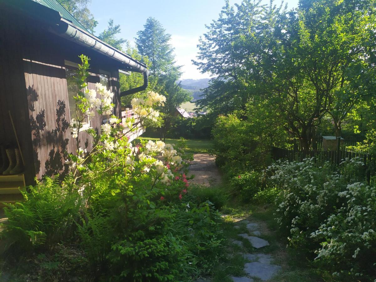 Chata Na Poskle U Lesa S Vyhledem Hutisko 外观 照片